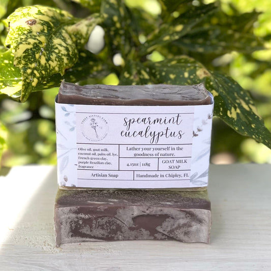 Spearmint Eucalyptus Goat Milk Soap