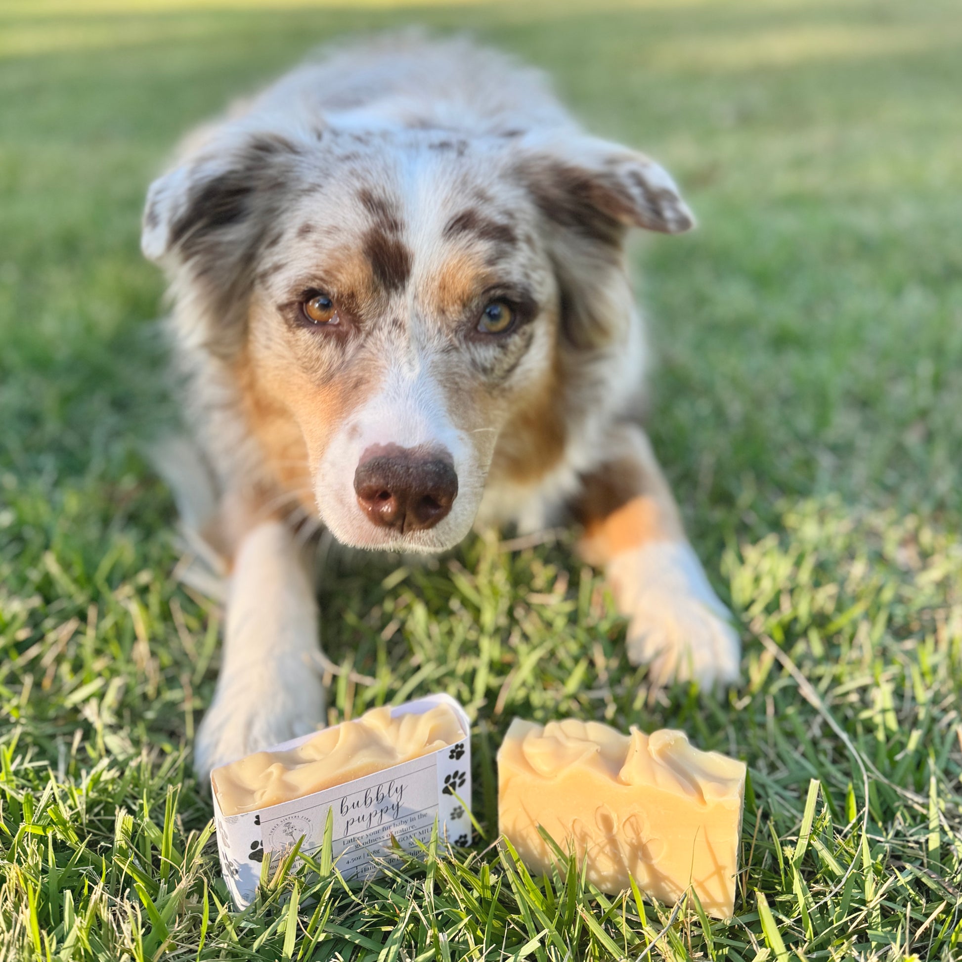 Bubbly Puppy Goat Milk Soap